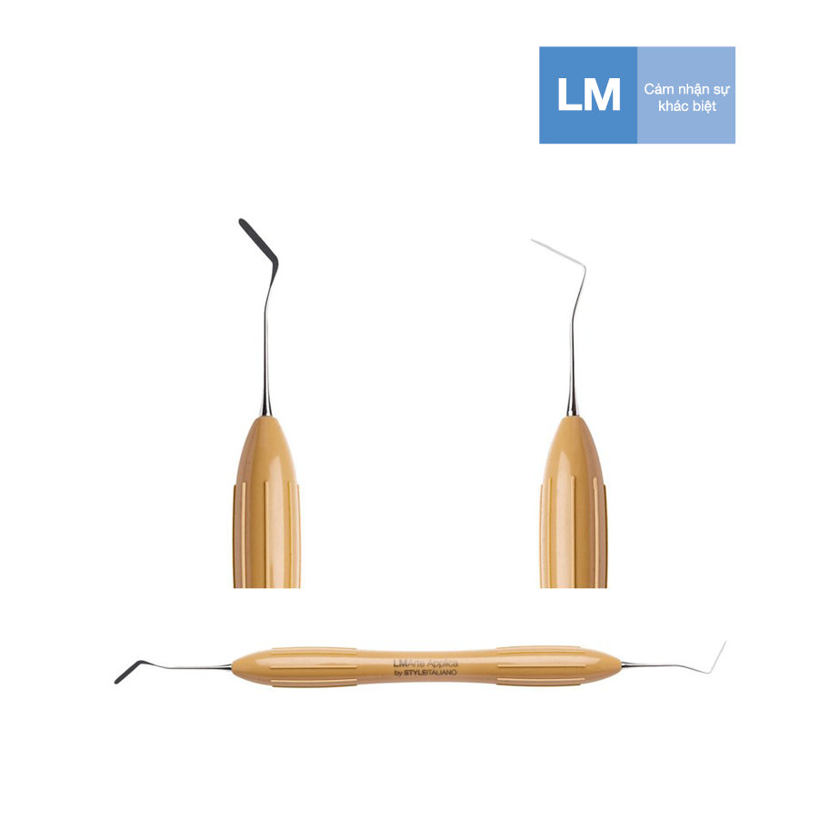 Bộ dụng cụ trám thẩm mỹ composite LM Arte