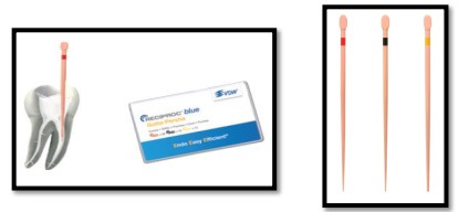 Côn nội nha cho trâm máy Gutta Percha Reciproc Blue VDW | VDW Đức