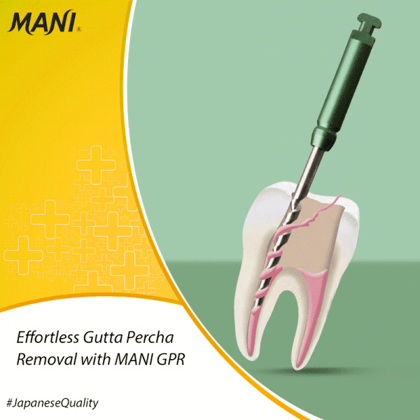 Dụng cụ lấy Gutta Percha Hộp 4 cây Mani Nhật Bản