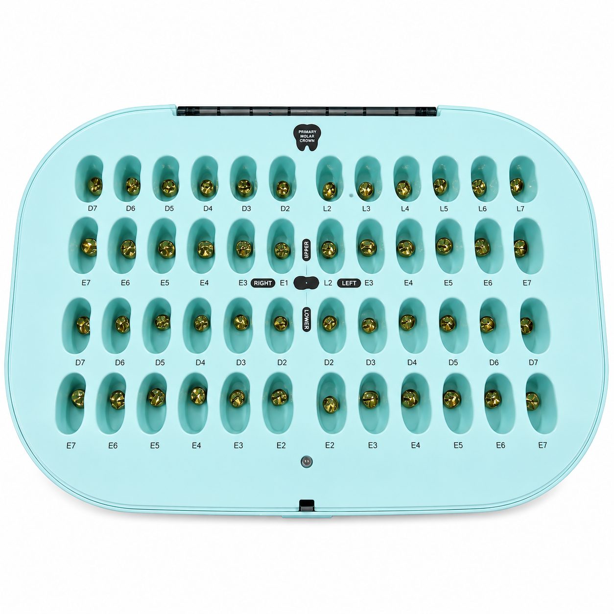 Mão răng sữa trẻ em màu vàng DENTAL KIDS GOLDEN CROW