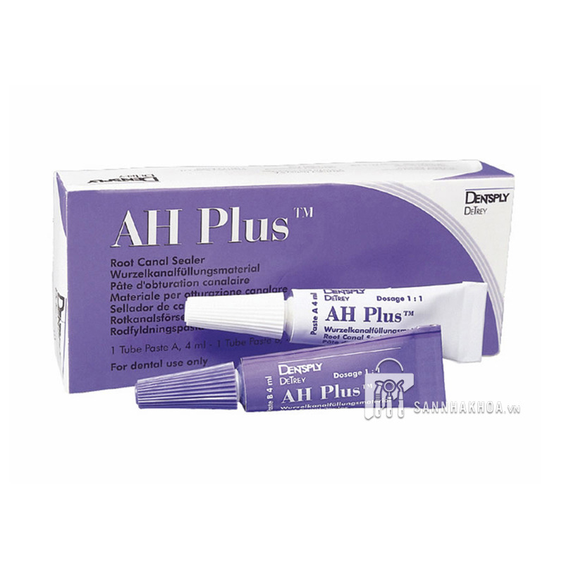 Mũi quay vật liệu nội nha LENTULO Maillefer Dentsply Mỹ