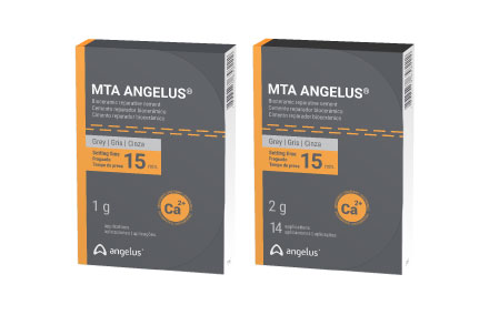Vật liệu trám bít ống tủy MTA | Angelus Brazil
