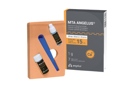 Vật liệu trám bít ống tủy MTA | Angelus Brazil