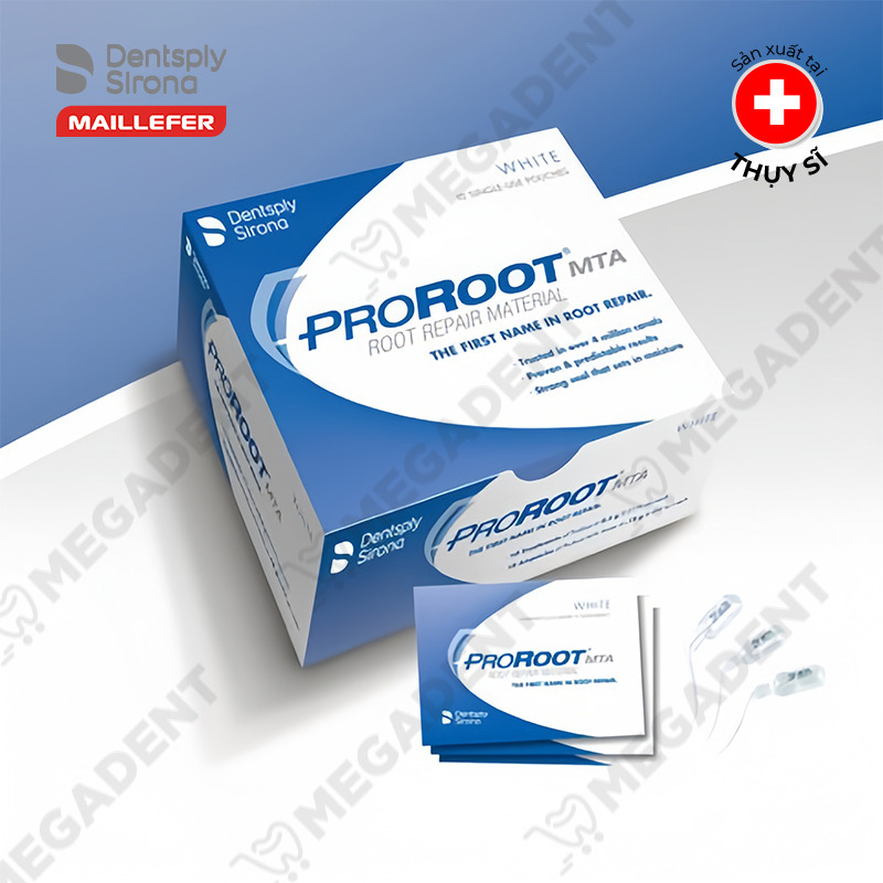 Mũi quay vật liệu nội nha LENTULO Maillefer Dentsply Mỹ