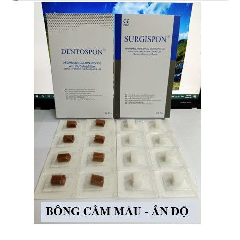 Xốp Cầm Máu Nha Khoa Gelatin | Surgispon Ấn Độ